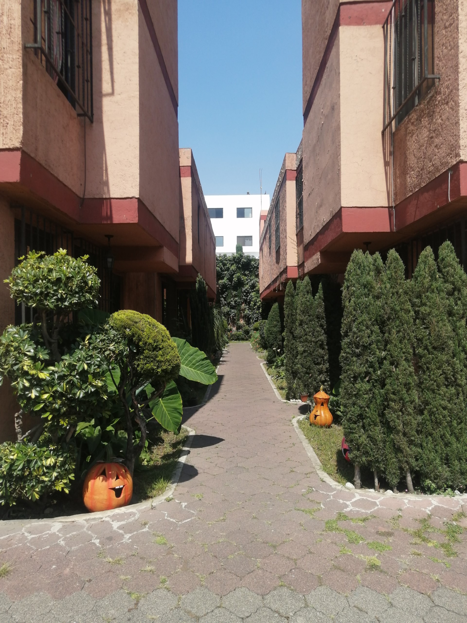 Foto de departamento en renta