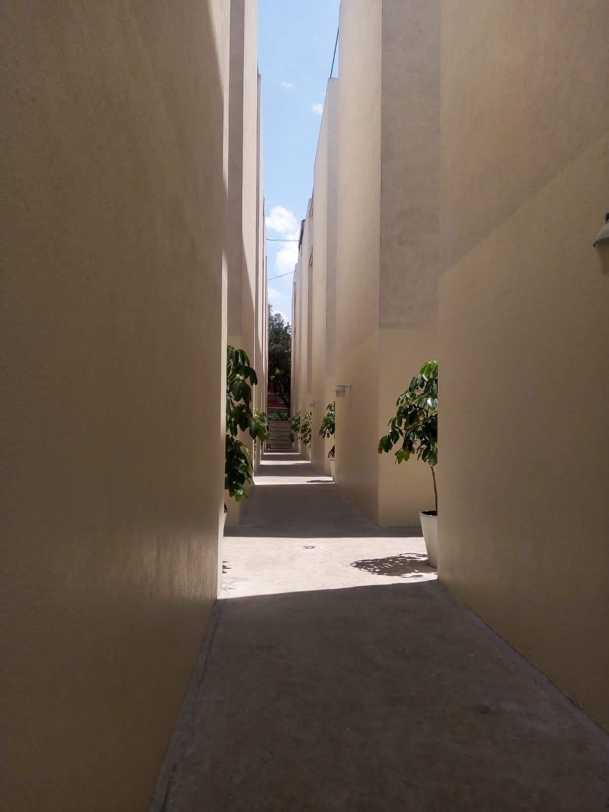 Foto de departamento en renta