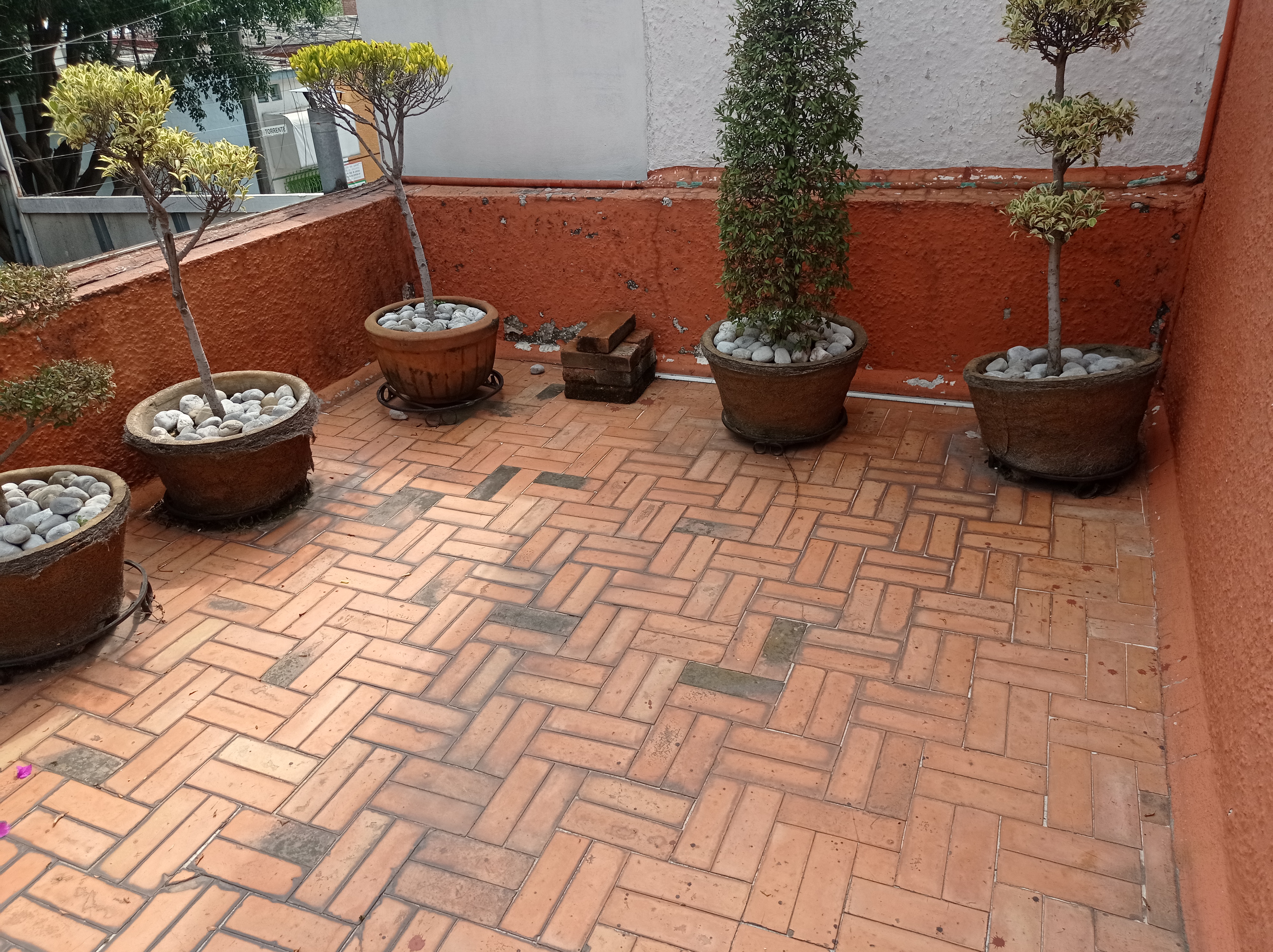 Foto de departamento en renta