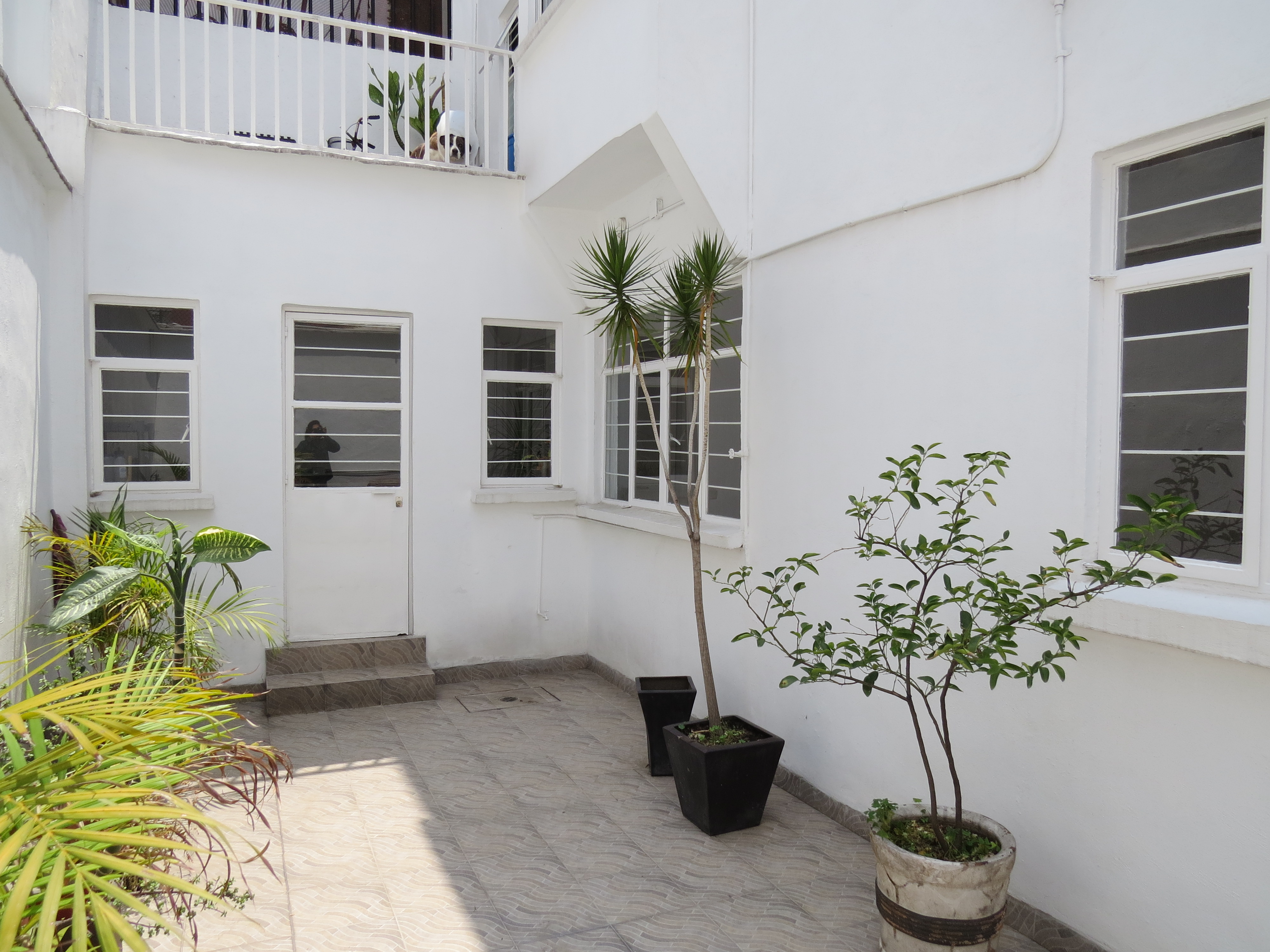 Foto de departamento en renta