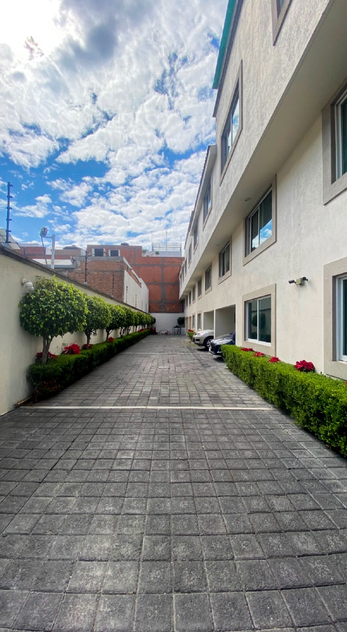 Foto de departamento en renta