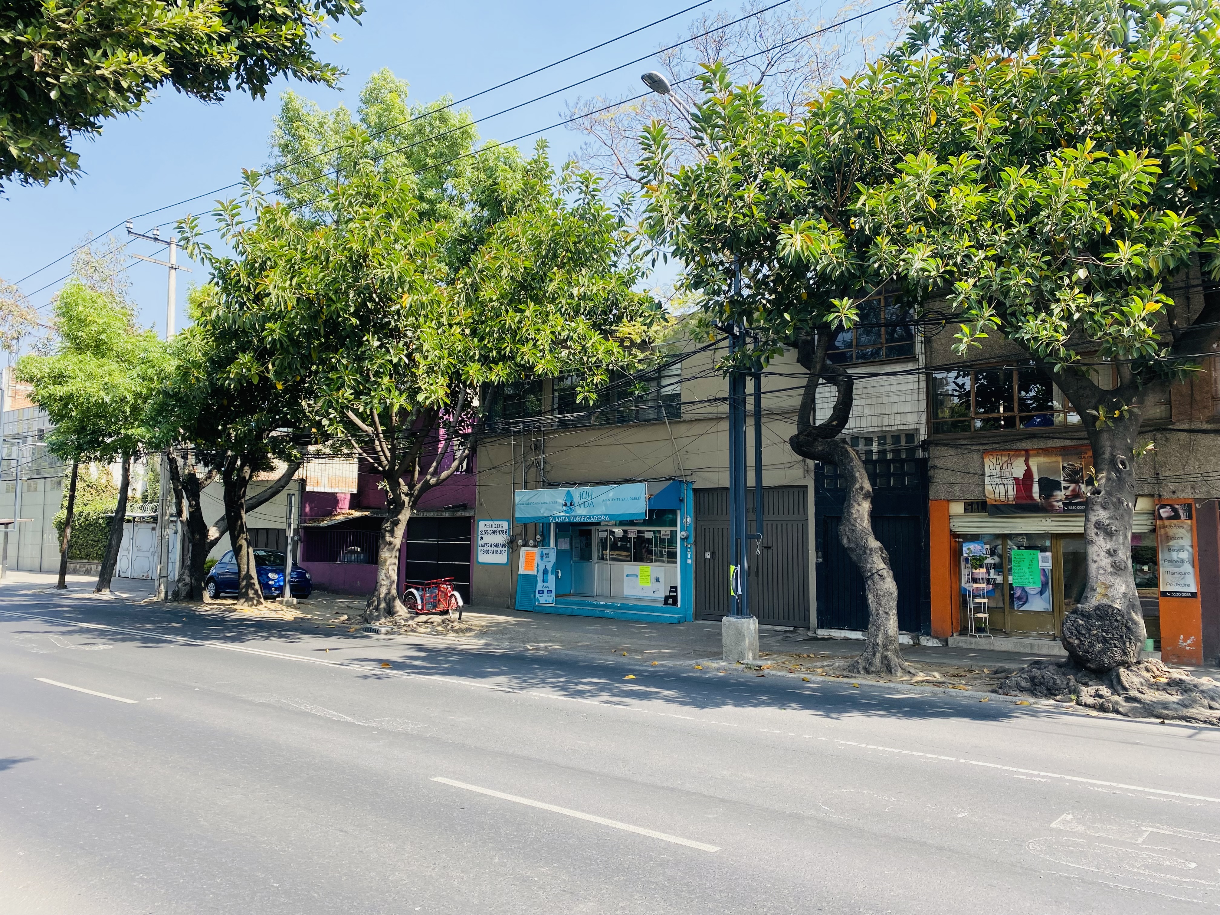 Foto de departamento en renta