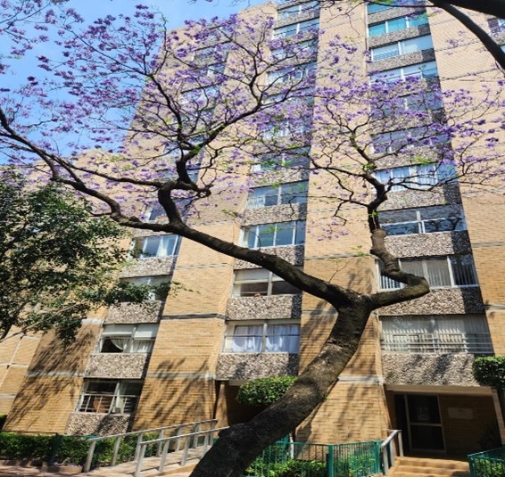 Foto de departamento en renta