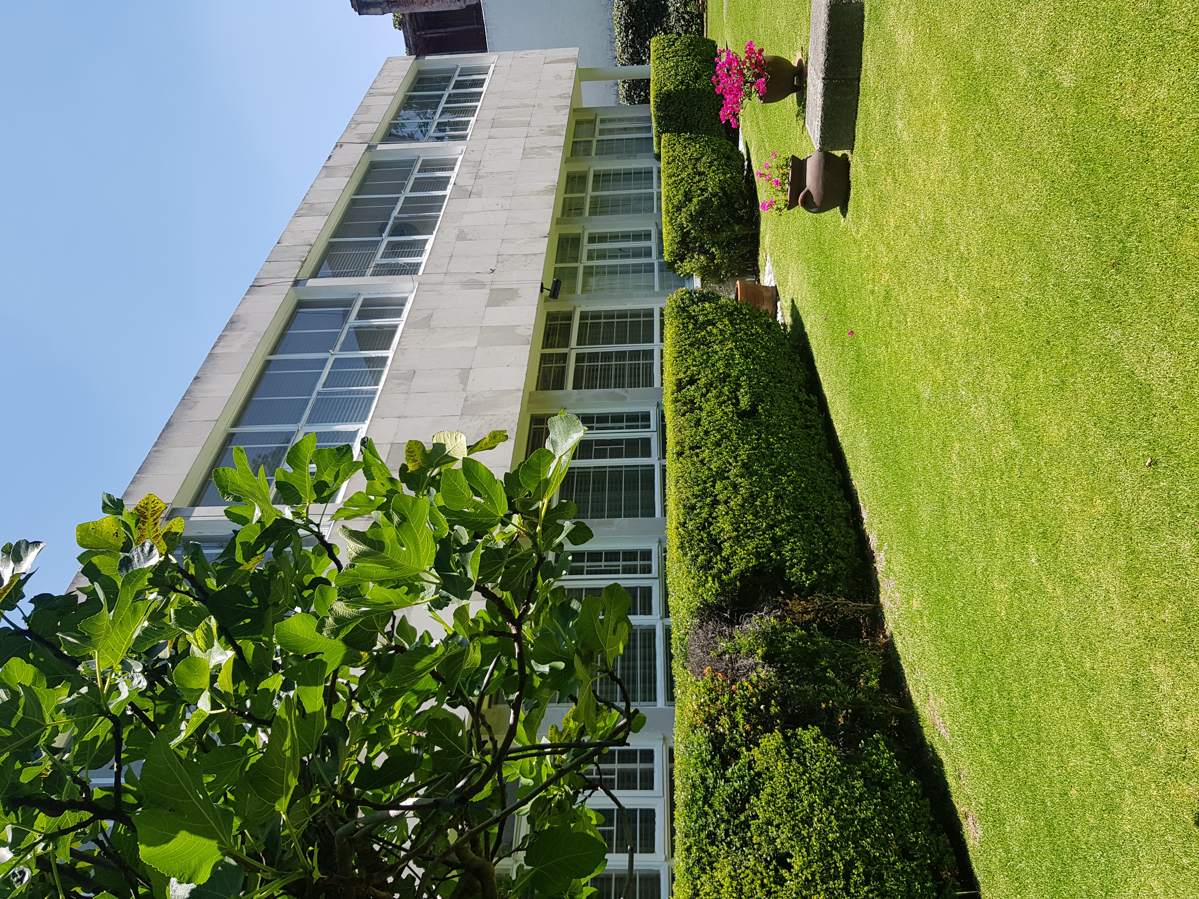 Foto de departamento en renta