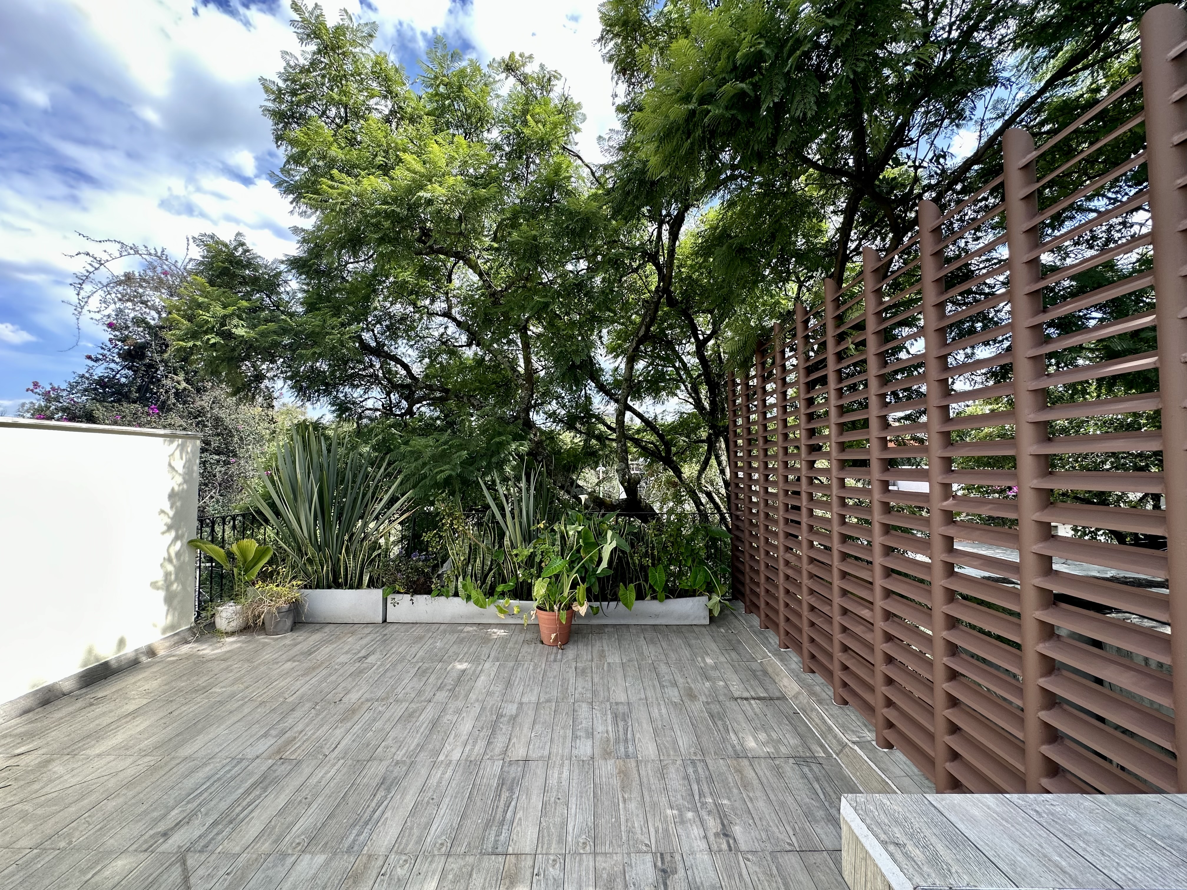 Foto de departamento en renta
