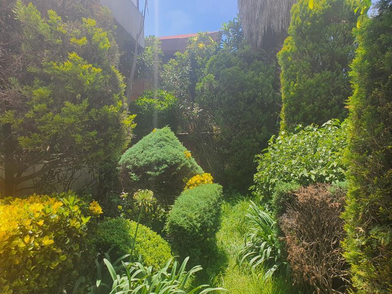 Foto de departamento en renta