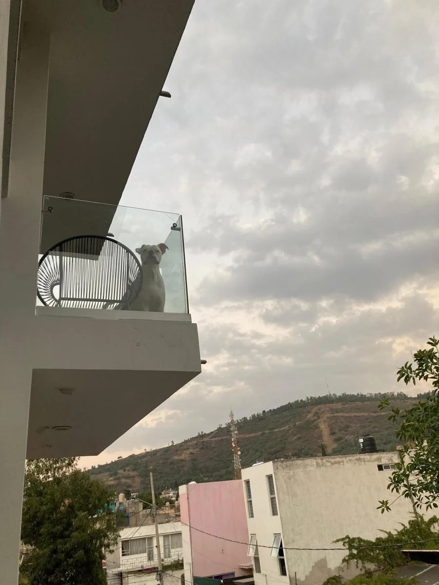 Foto de departamento en renta