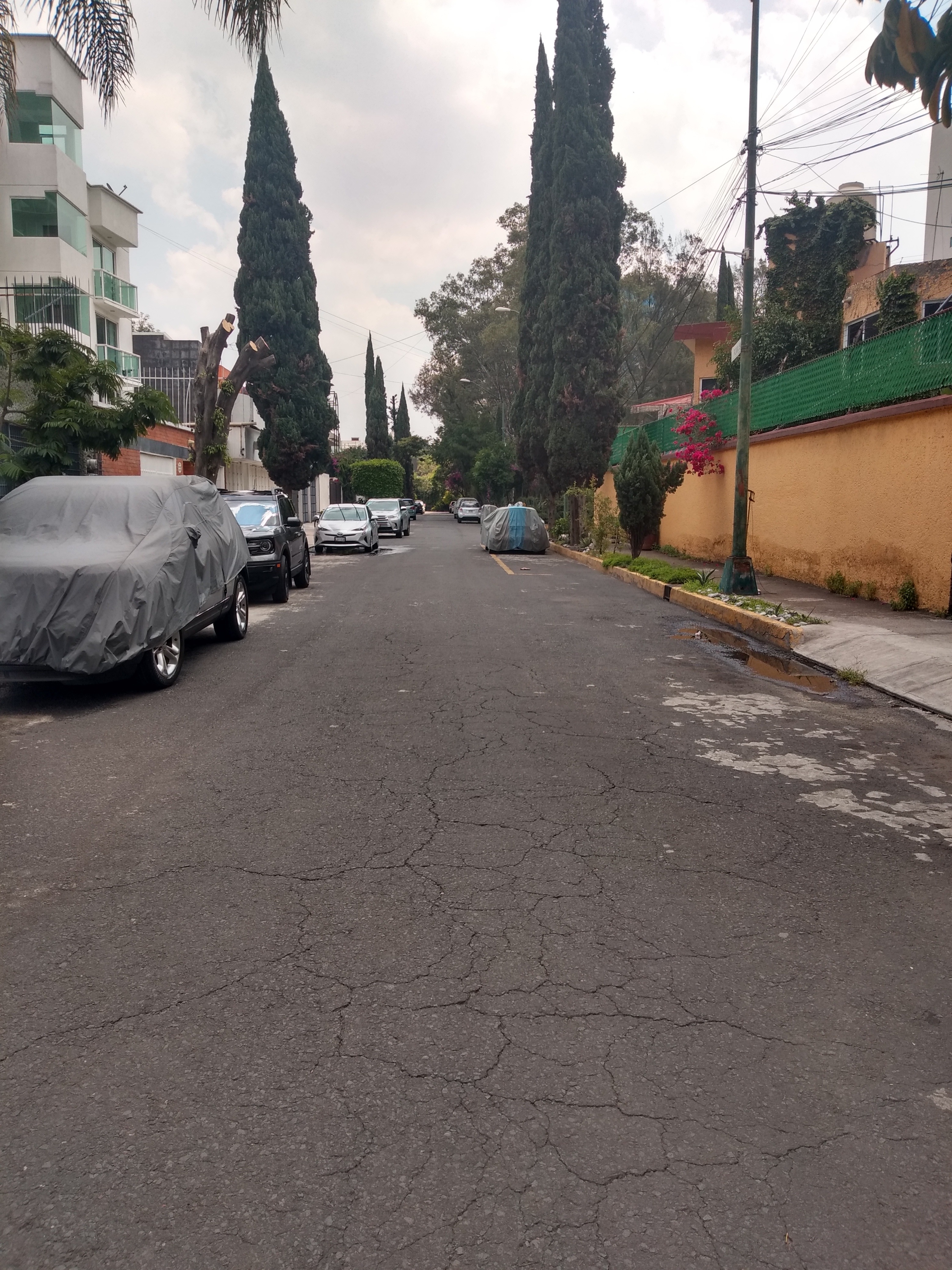 Foto de departamento en renta