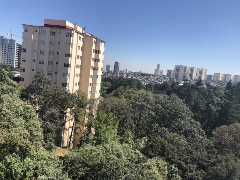 Foto de departamento en renta en adolfo lopez mateos 0, jesús del monte, cuajimalpa de morelos, df / cdmx, 25008262 No. 01