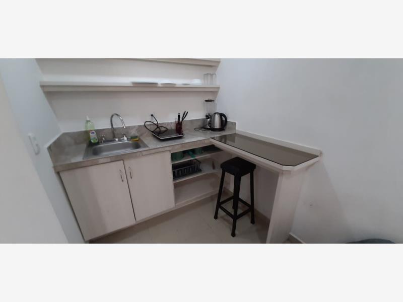 Foto de departamento en renta en amberes 33, juárez, cuauhtémoc, df / cdmx, 0 No. 02