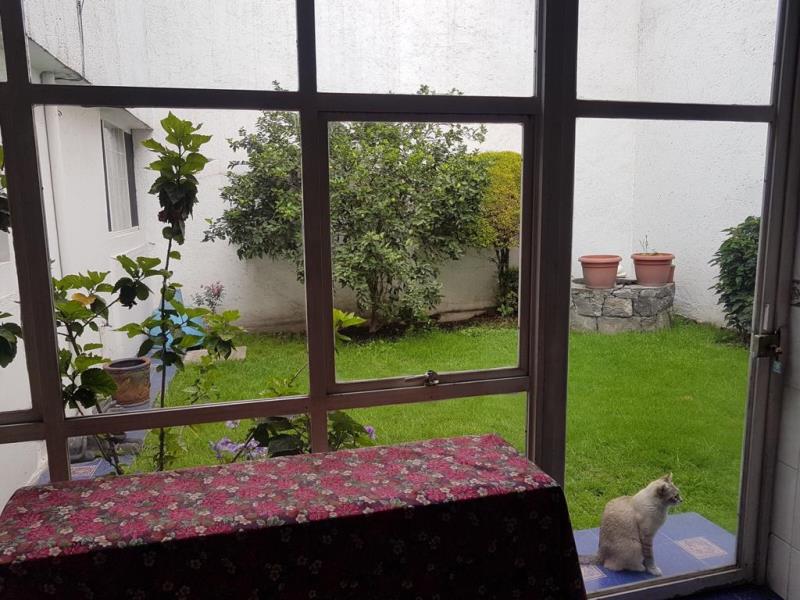 Foto de casa en venta en arequipa 891, lindavista norte, gustavo a. madero, df / cdmx, 25158582 No. 04