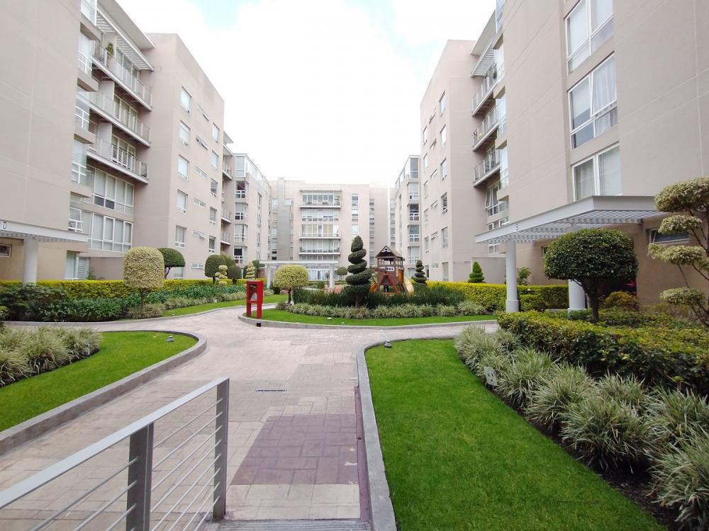 Foto de departamento en renta en avenida coyoacan 1617, del valle centro, benito juárez, df / cdmx, 25462736 No. 04