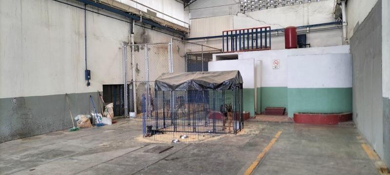 Foto de nave industrial en renta en avenida del recreo 87, zapotla, iztacalco, df / cdmx, 26987760 No. 04