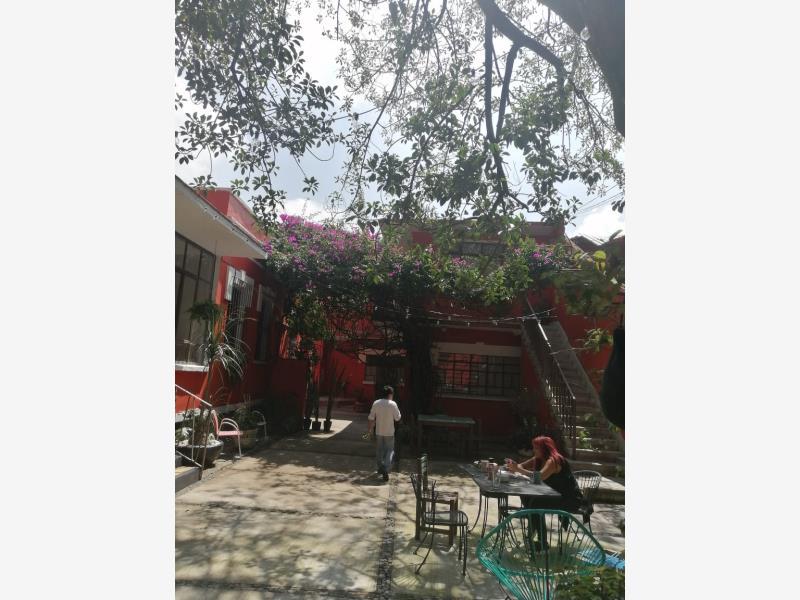 Foto de casa en venta en avenida méxico 49, del carmen, coyoacán, df / cdmx, 21762233 No. 02