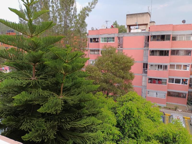 Foto de departamento en renta en cada santa lucia 1, olivar del conde 2a sección, álvaro obregón, df / cdmx, 25209477 No. 04