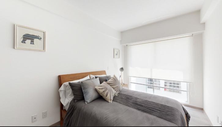 Foto de departamento en renta en calzada san antonio abad 307, algarin, cuauhtémoc, df / cdmx, 0 No. 04