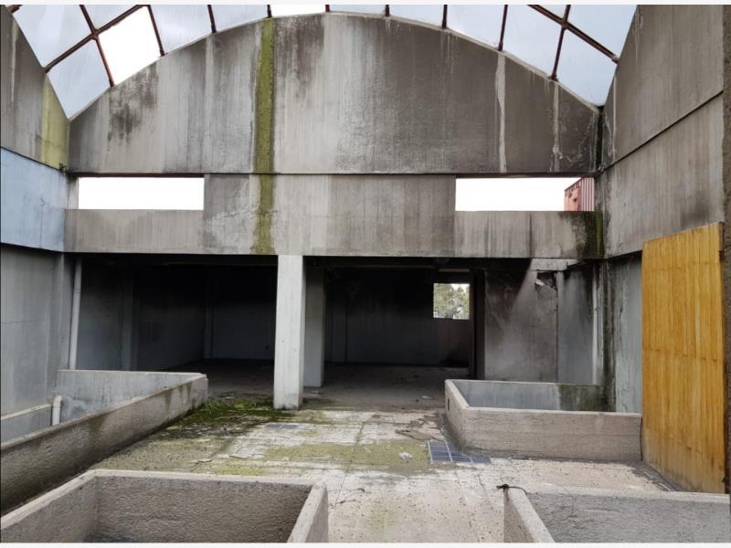 Foto de edificio en venta en camelia 234, buenavista, cuauhtémoc, df / cdmx, 20800049 No. 04