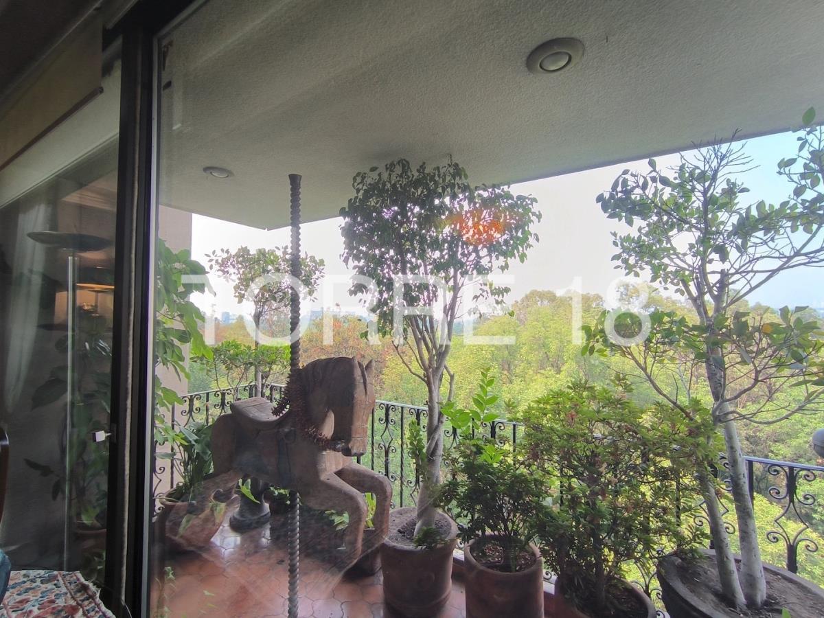 Foto de departamento en renta en campos eliseos 73, bosque de chapultepec i sección, miguel hidalgo, df / cdmx, 0 No. 03
