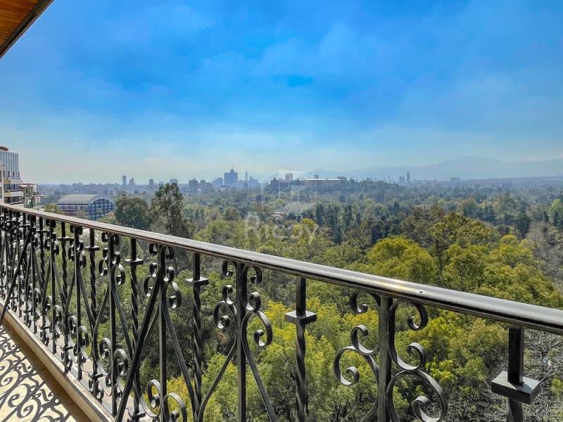 Foto de departamento en renta en campos elíseos 75, bosque de chapultepec i sección, miguel hidalgo, df / cdmx, 23365872 No. 04