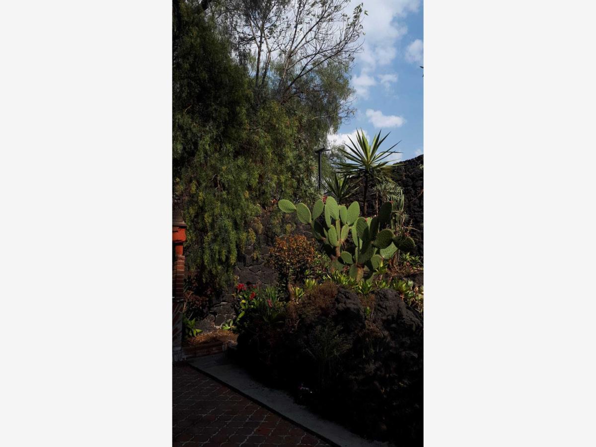 Foto de casa en venta en crater 842, jardines del pedregal, álvaro obregón, df / cdmx, 0 No. 03