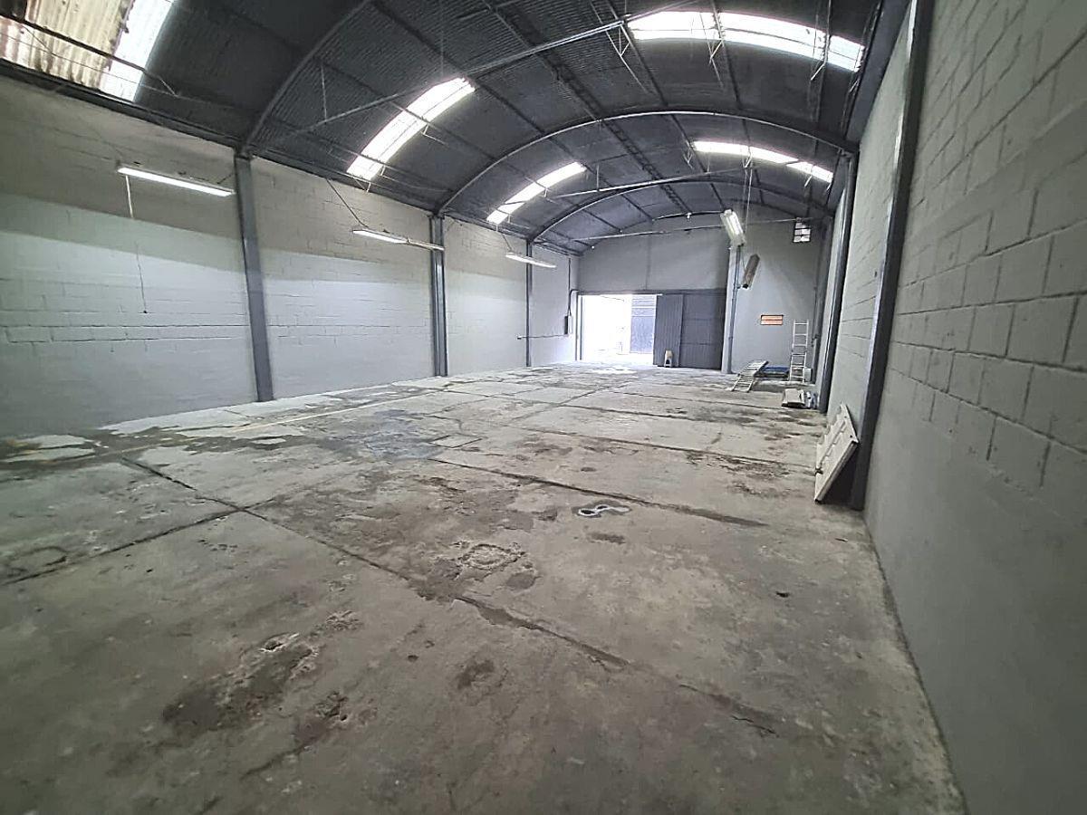 Foto de bodega en renta en doctor martínez del rio 175, doctores, cuauhtémoc, df / cdmx, 25996983 No. 04