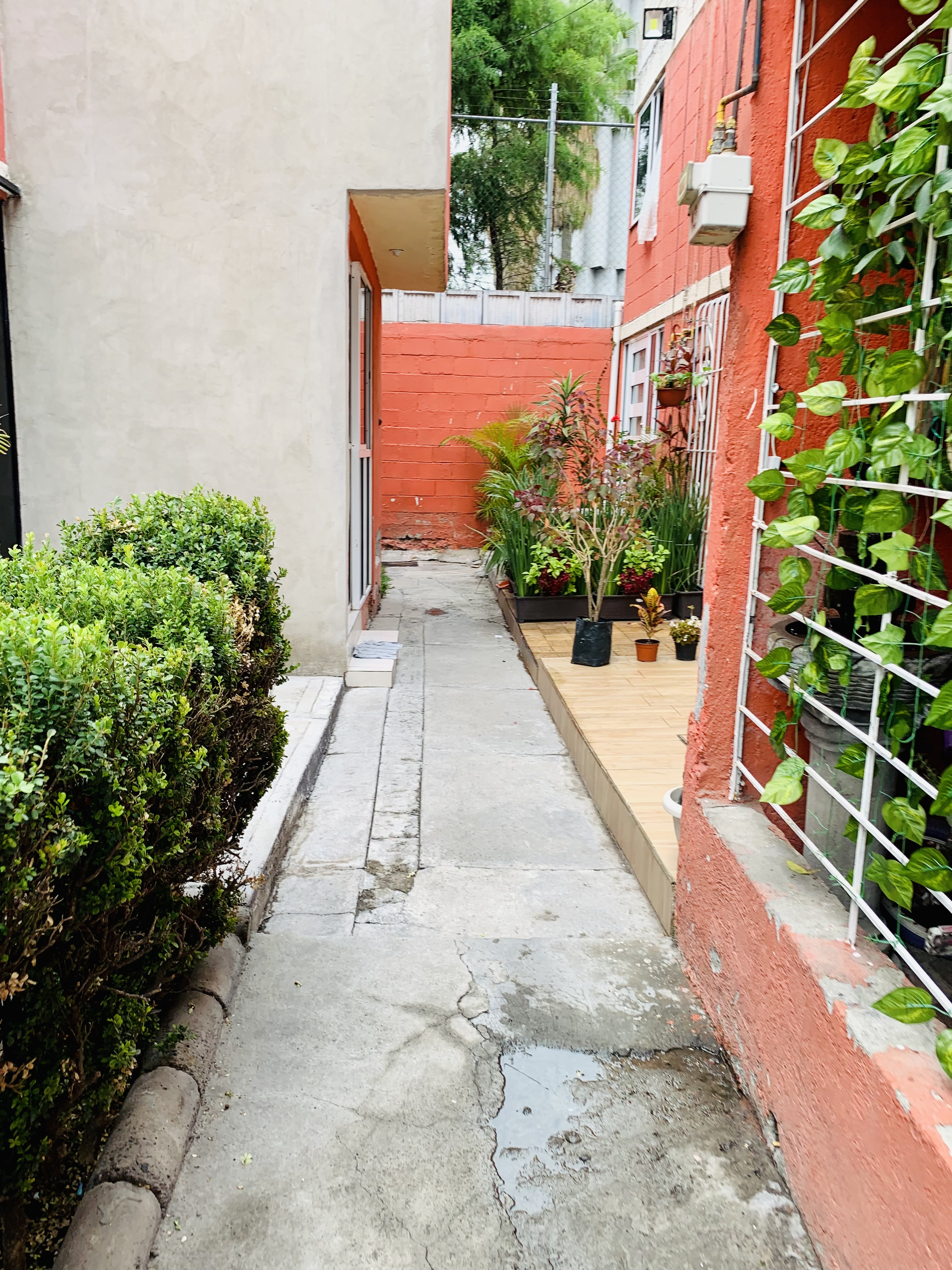 Foto de departamento en renta