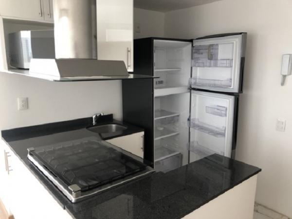 Foto de departamento en renta en edgar allan poe 362, polanco v sección, miguel hidalgo, df / cdmx, 19609535 No. 04