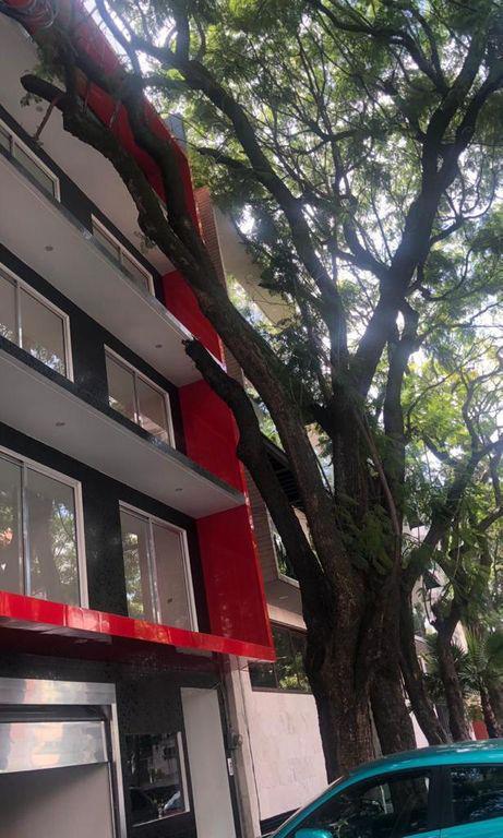 Foto de departamento en venta en enrique rebsamen 1124, del valle centro, benito juárez, df / cdmx, 25767585 No. 02