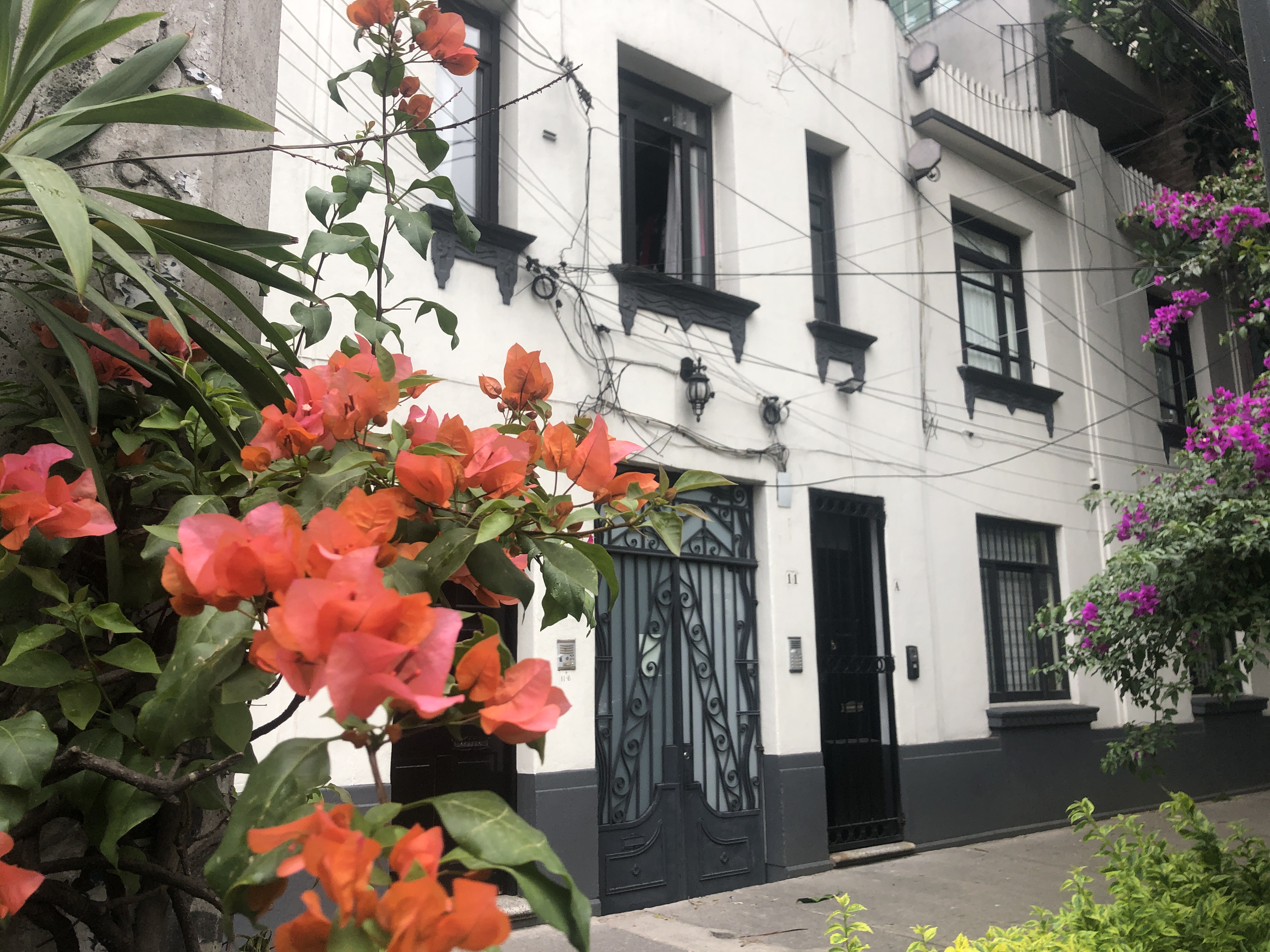 Foto de departamento en renta