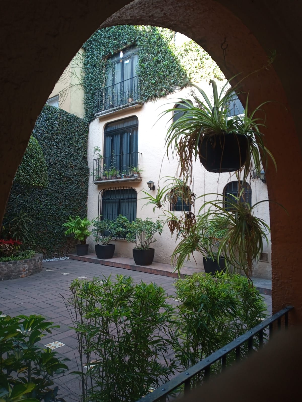 Foto de departamento en renta