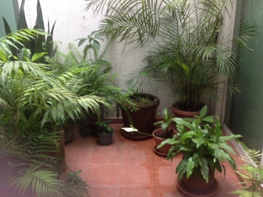 Foto de departamento en venta en gamma 30, romero de terreros, coyoacán, df / cdmx, 0 No. 04