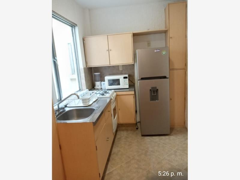 Foto de departamento en renta en hegel 335, polanco v sección, miguel hidalgo, df / cdmx, 25303667 No. 03