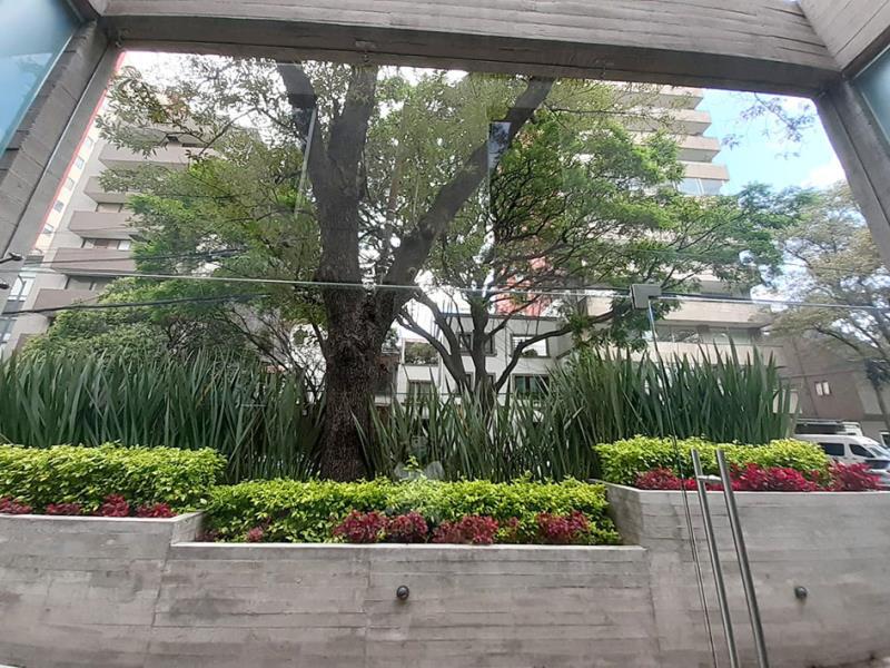 Foto de departamento en venta en hipólito taine 324, polanco v sección, miguel hidalgo, df / cdmx, 25163818 No. 04