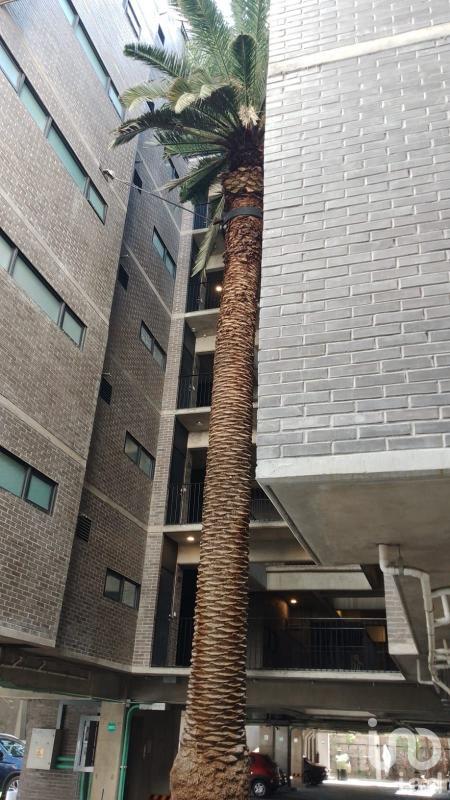 Foto de departamento en venta en mexico tacuba 501, popotla, miguel hidalgo, df / cdmx, 27109241 No. 02