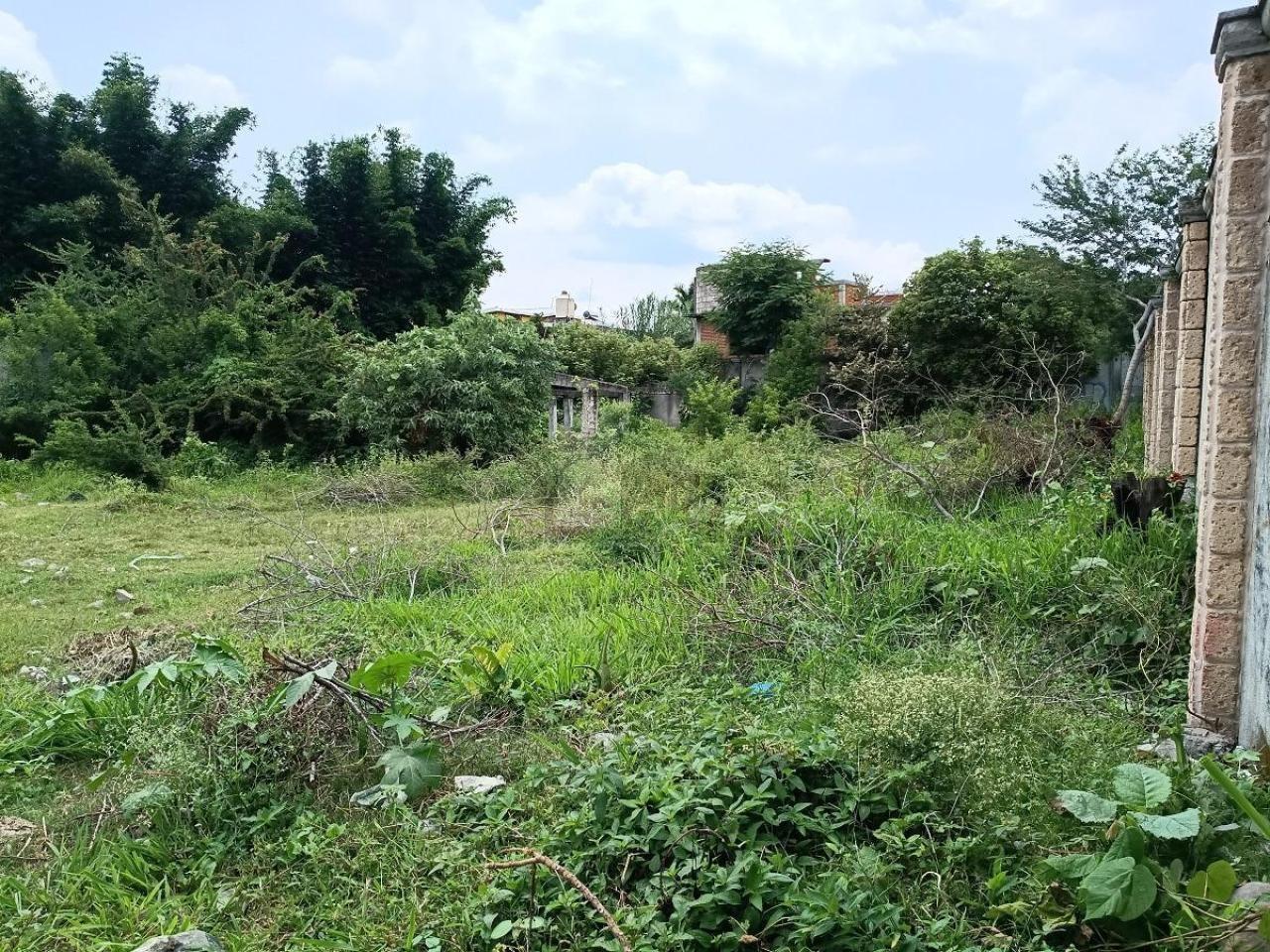 Foto de terreno habitacional en venta en miguel hidalgo 38, centro vacacional oaxtepec, yautepec, morelos, 26456728 No. 02