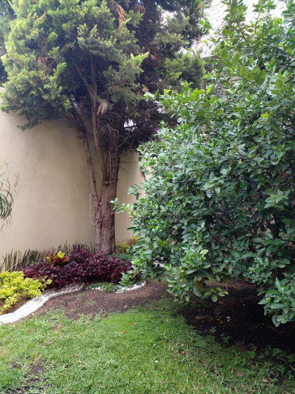Foto de casa en venta en mirador 171 a, villa quietud, coyoacán, df / cdmx, 24797947 No. 04
