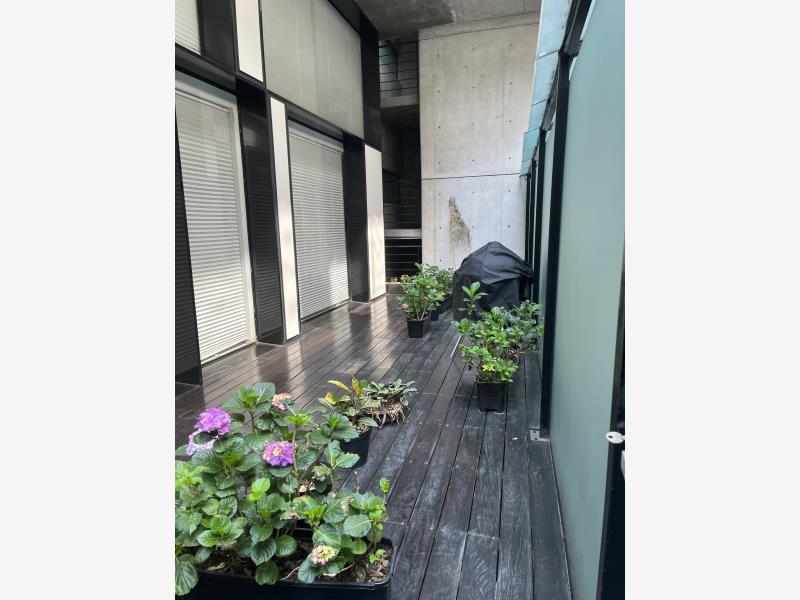 Foto de departamento en renta en monte elbruz 145, lomas de chapultepec i sección, miguel hidalgo, df / cdmx, 24951244 No. 02