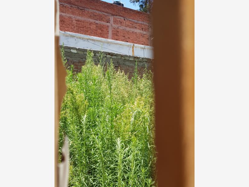 Foto de terreno habitacional en venta en peten 442, vertiz narvarte, benito juárez, df / cdmx, 0 No. 04