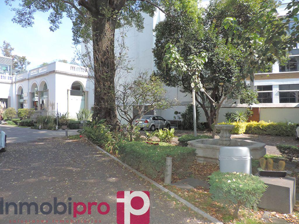 Foto de local en renta en plaza san jacinto 16, san angel, álvaro obregón, df / cdmx, 0 No. 03