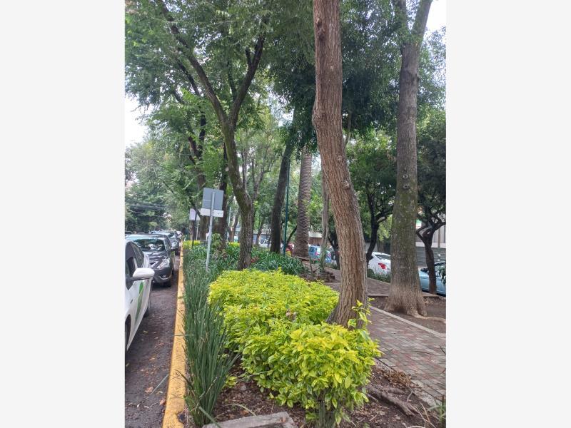 Foto de departamento en venta en prolongacion uxmal 1114, general pedro maria anaya, benito juárez, df / cdmx, 25321774 No. 03