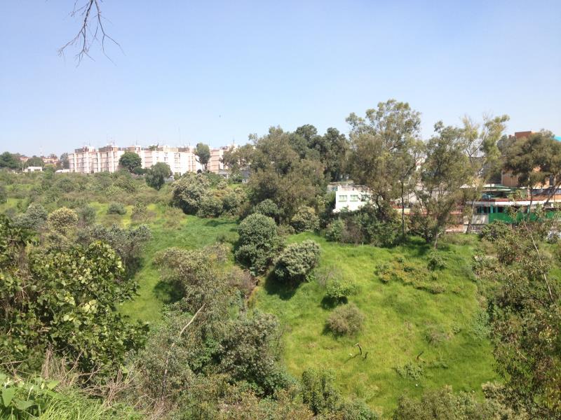 Foto de terreno comercial en venta en rosa china 76, molino de rosas, álvaro obregón, df / cdmx, 25153041 No. 03