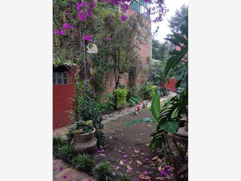 Foto de terreno habitacional en venta en rosa de castilla 73, alfonso xiii, álvaro obregón, df / cdmx, 24957426 No. 04