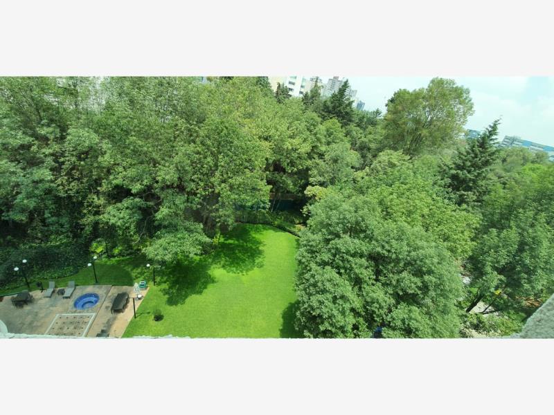 Foto de departamento en venta en sierra candela 111, lomas de chapultepec, ciudad de méxico, ciudad de méxico **, lomas de chapultepec i sección, miguel hidalgo, df / cdmx, 17009523 No. 04