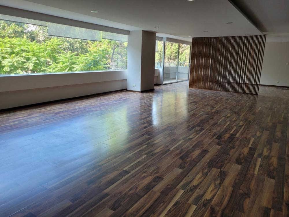 Foto de departamento en renta en sofocles , polanco iv sección, miguel hidalgo, df / cdmx, 24953584 No. 04