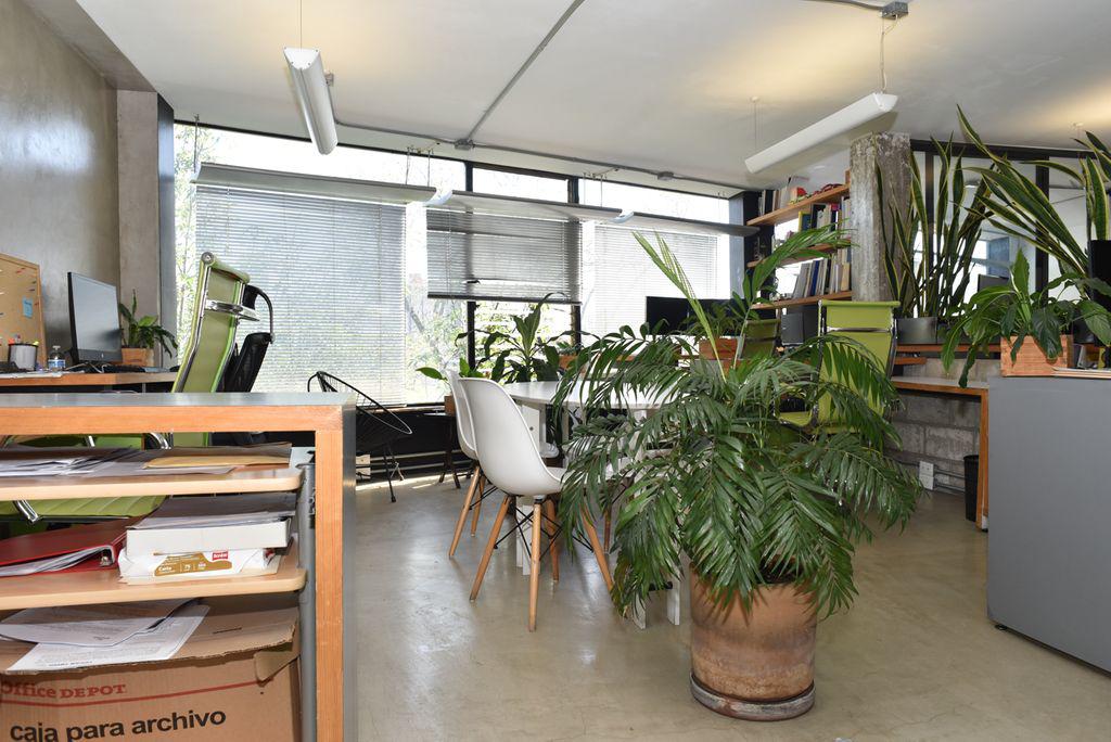 Foto de oficina en renta en sonora 119, roma norte, cuauhtémoc, df / cdmx, 19306522 No. 01