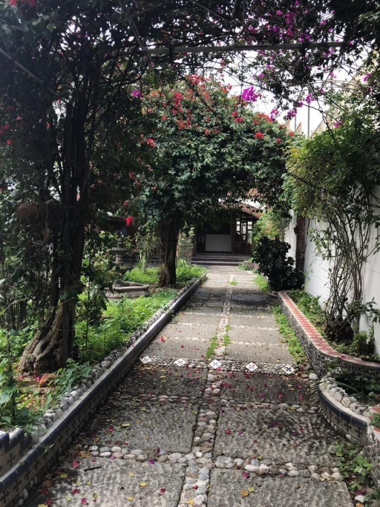 Foto de casa en venta en xicotencatl 266, del carmen, coyoacán, df / cdmx, 8876447 No. 03