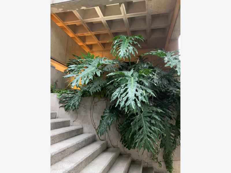 Foto de departamento en renta en zempoala 267 267, narvarte poniente, benito juárez, df / cdmx, 0 No. 06